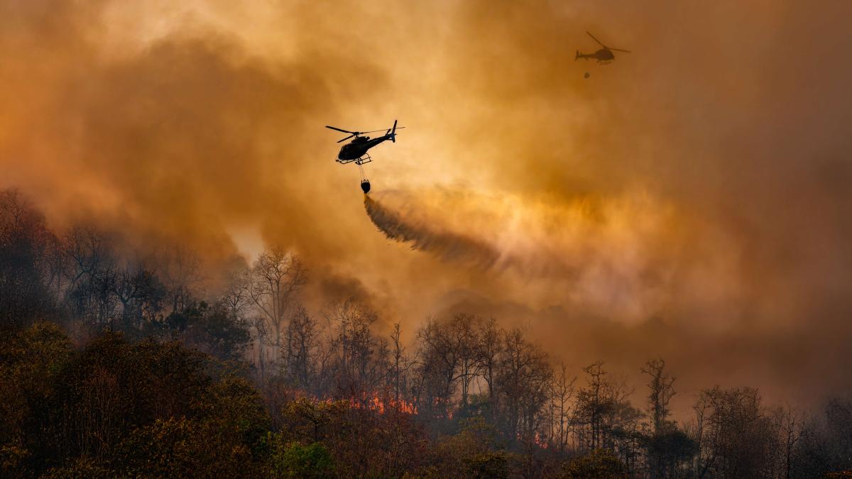 wildfire