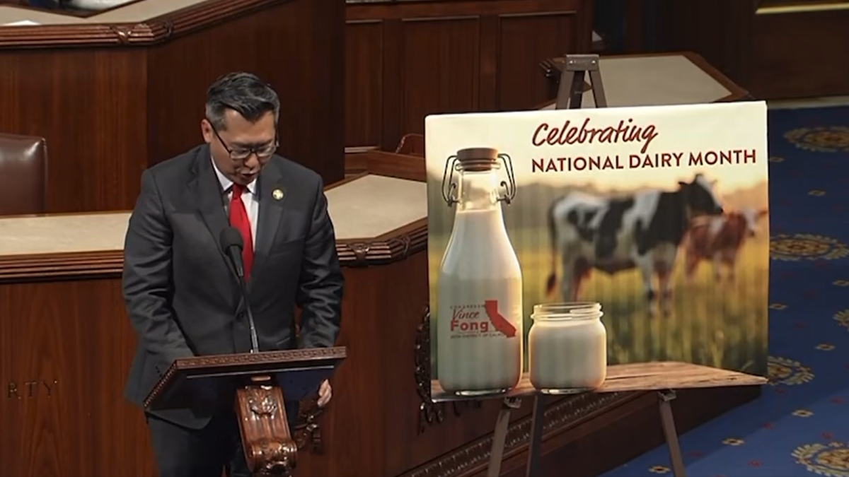 Dairy Industry 