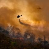 wildfire