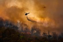 wildfire